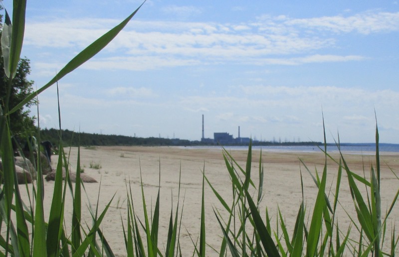 Росэнергоатом опровергает сообщения о ЧП на АЭС на северо-западе России