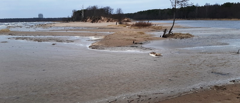 Река Коваш прорыла новое русло при впадении в Финский залив