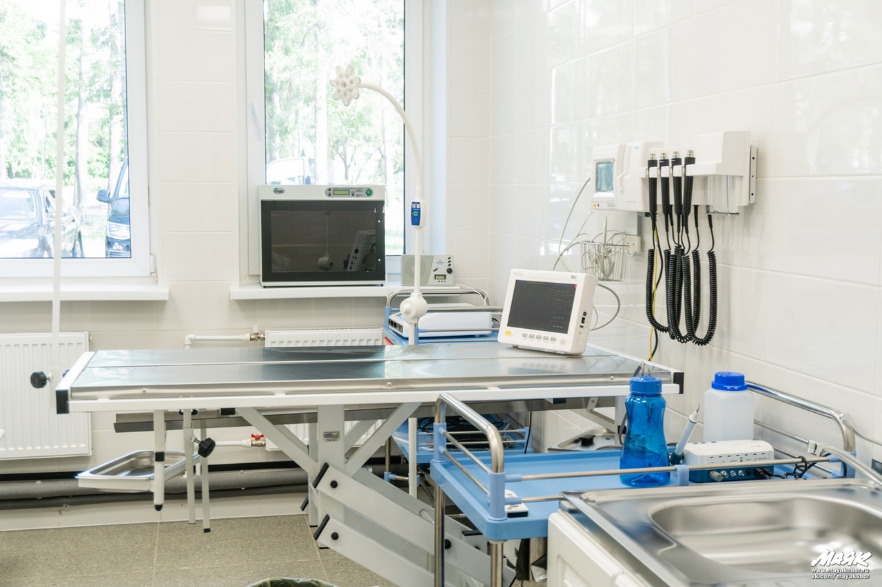 Государственная ветклиника переедет в новое здание в Сосновом Бору с 15 ...