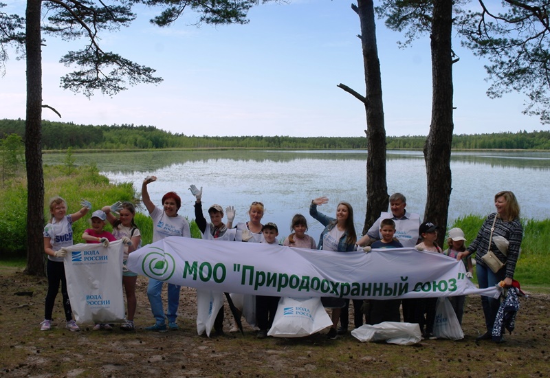 Стол находок в сосновом бору ленинградской области