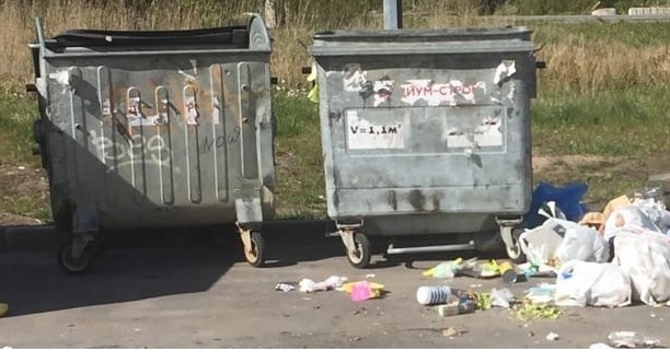 Кто должен подбирать упавший мимо контейнера мусор — перевозчик или собственник территории?