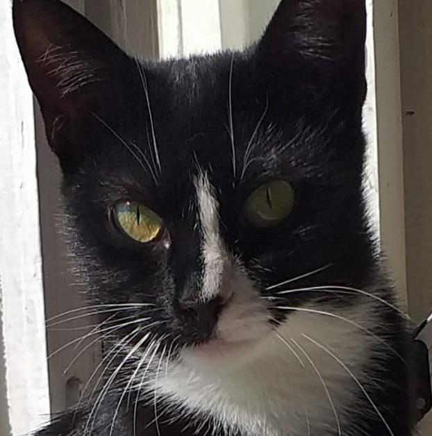 Малышка ждёт своего хозяина