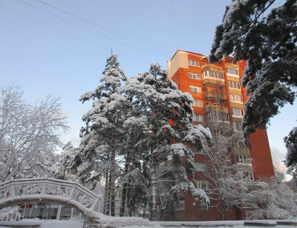 Фото Нины Князевой