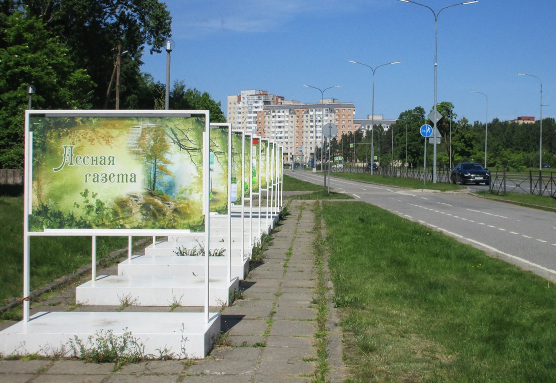 Фото Нины Князевой