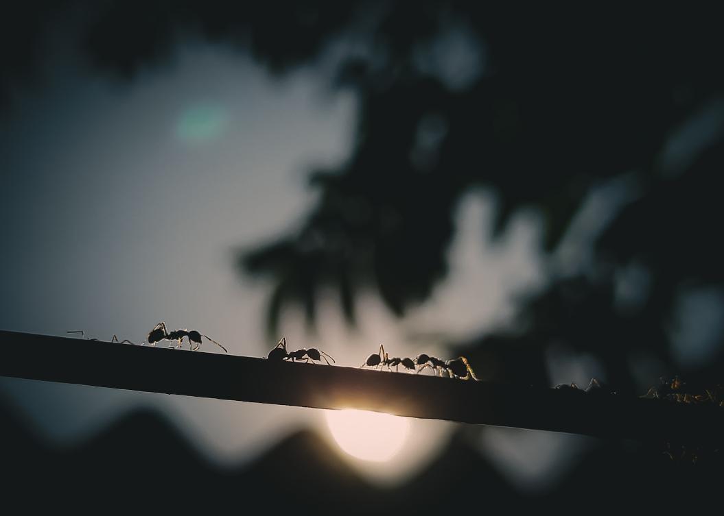 Фото: Unsplash