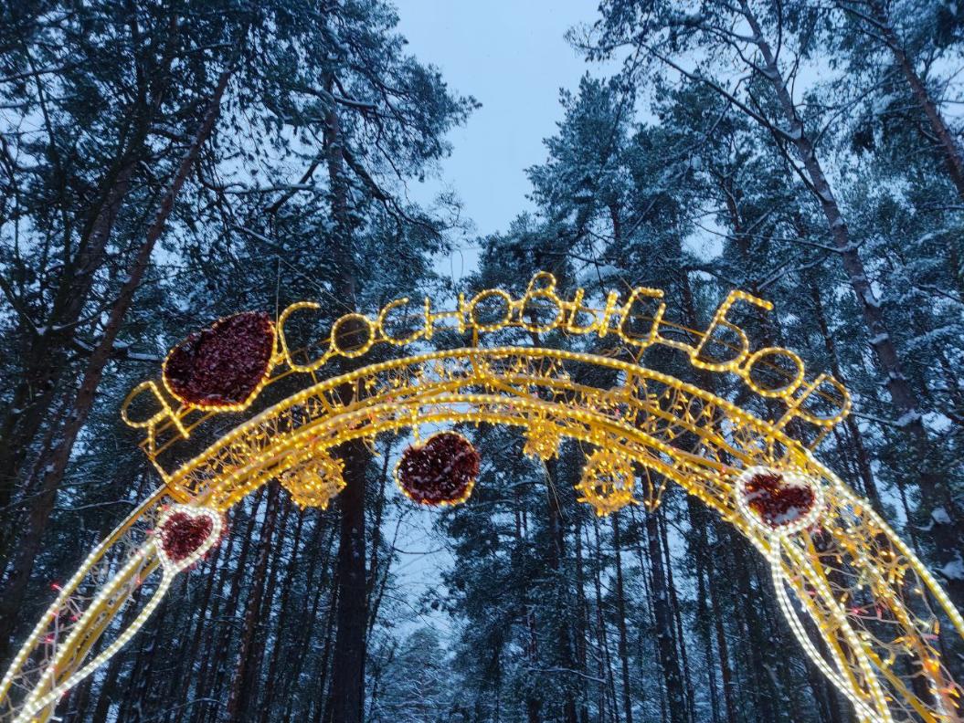 С Новым годом сосновоборцев поздравил директор ЛАЭС Владимир Перегуда