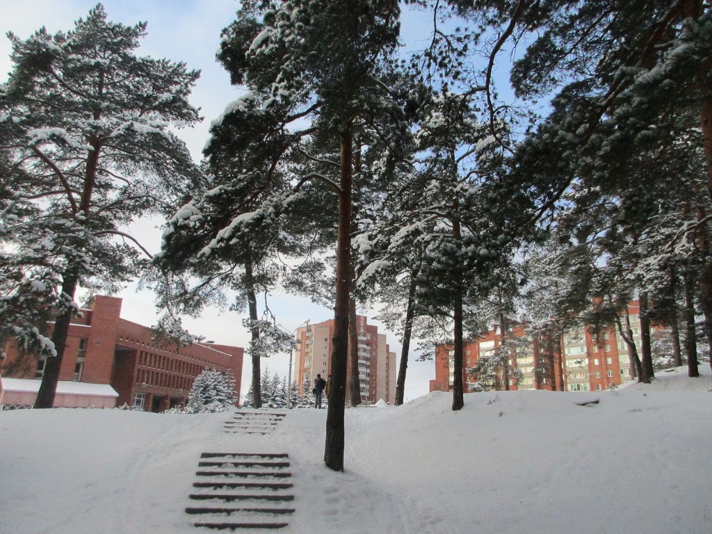 6 марта в Ленобласти ожидается метель и мороз до -18 градусов
