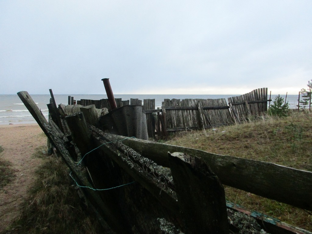 Сосновый Бор передаст часть прибрежной территории между Ручьями и Липово в собственность Ленобласти