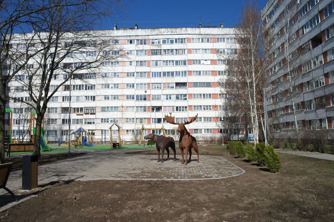 Фото Нины Князевой