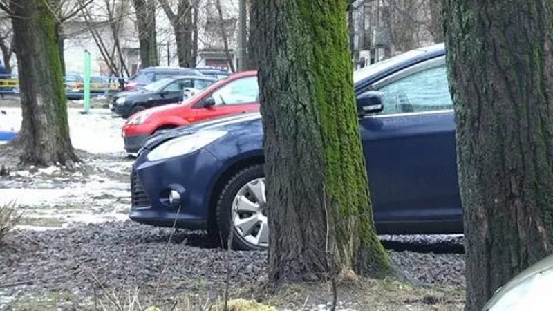 С 1 апреля за парковку на газонах в Сосновом Бору спросят по полной. И это — не шутка