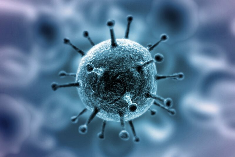 62 новых случая коронавируса выявили за сутки в  11  районах Ленобласти