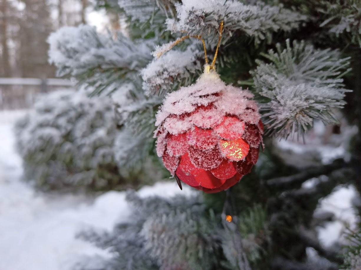 Управляющие компании установят ёлки в микрорайонах и пригласят жителей на праздник