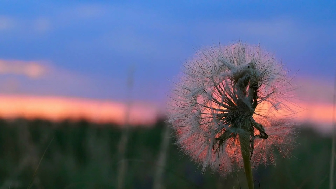 Фото из группы Фонд «АТР АЭС»/ВК