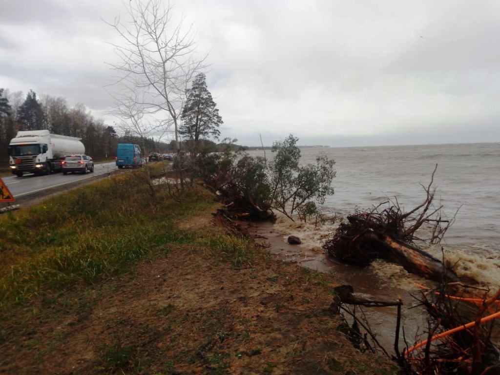 В Ленинградской области море угрожает размыть крупное прибрежное шоссе