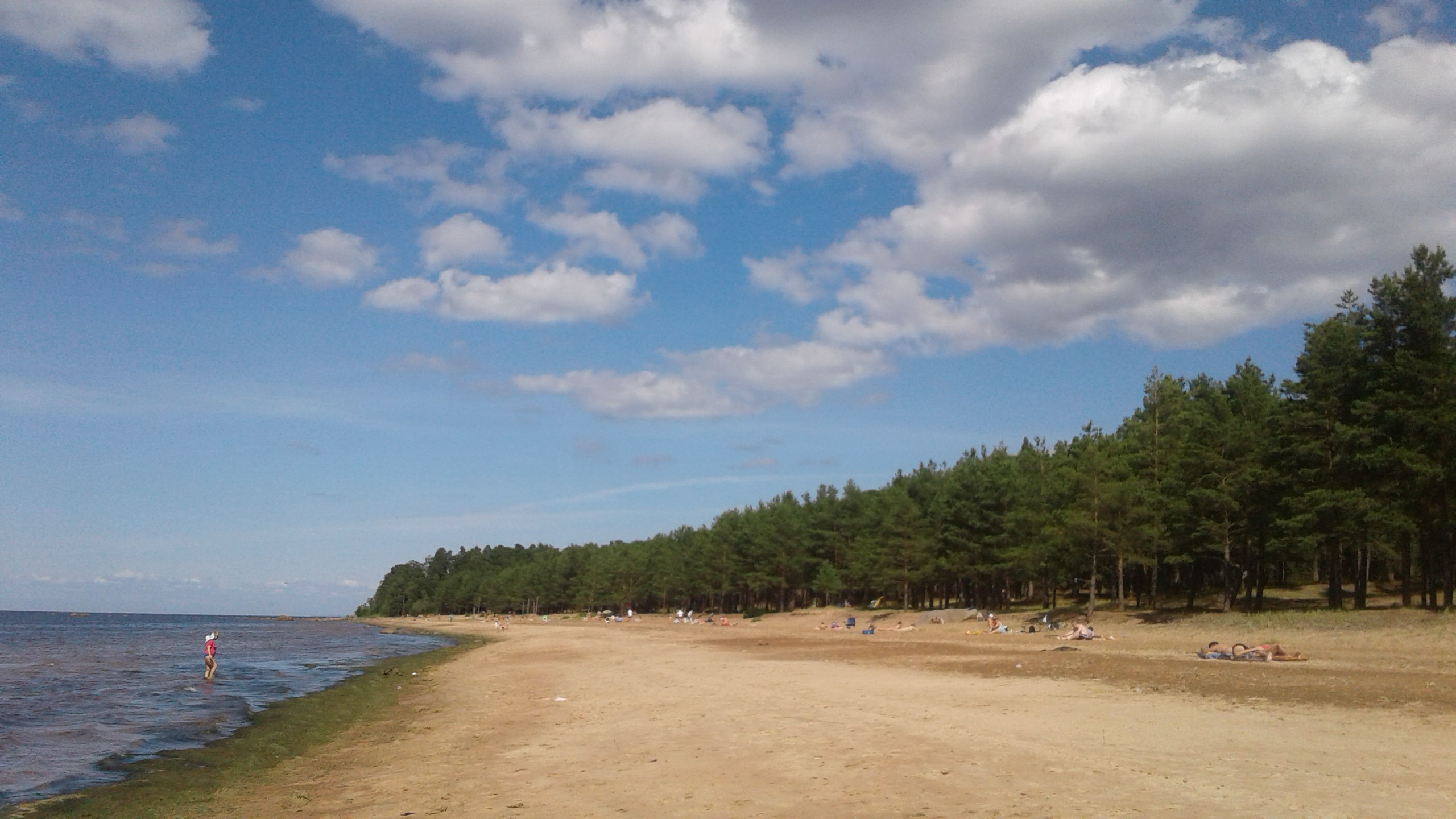 Пляж Липово Сосновый Бор