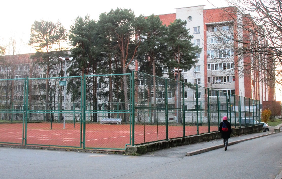 Теннисный клуб хочет вернуться на построенную им площадку в Сосновом Бору