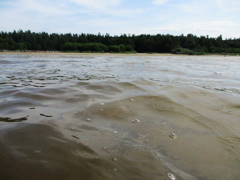 Качество воды в местах купания сосновоборцев резко ухудшилось