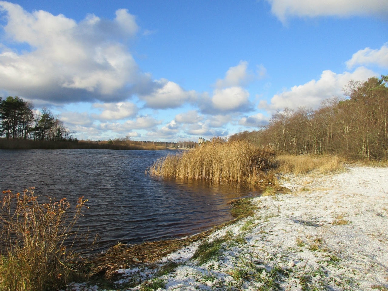 Завершается прием предложений от сосновоборцев по благоустройству берега Коваша