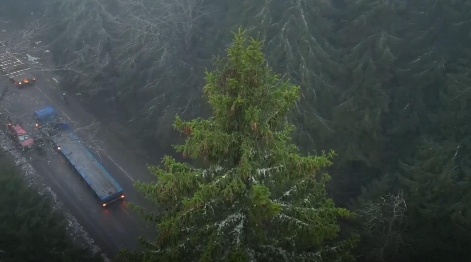Фото: скриншот видео со страницы Александра Беглова
