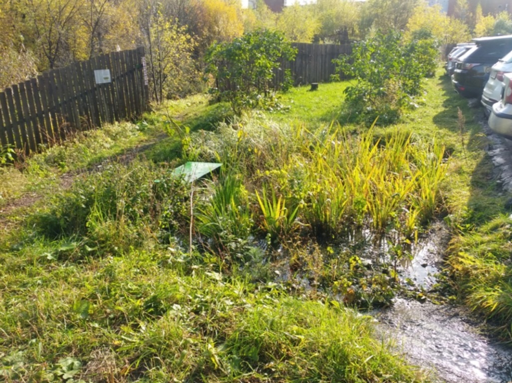 Проблему очистки ливневок в России предложили решить с помощью «дождевых садов»