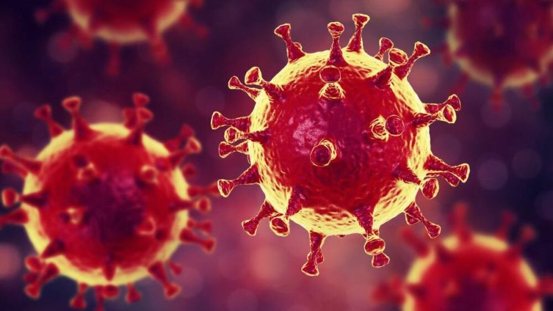 28 новых случаев коронавируса выявлено в 18 населенных пунктах Ленобласти