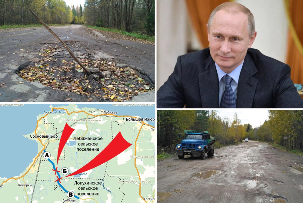 Вопрос о ремонте дороги «Сосновый Бор — Глобицы» прозвучал в анонсе «прямой линии» с Путиным