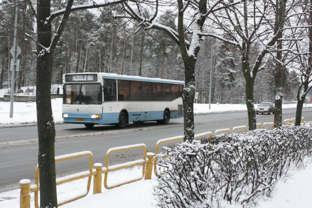На сколько подорожают автобусные билеты в Сосновом Бору