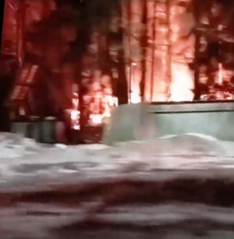 Масштабный пожар произошел в бывшем лагере «Чайка» на берегу Финского залива в Сосновом Бору