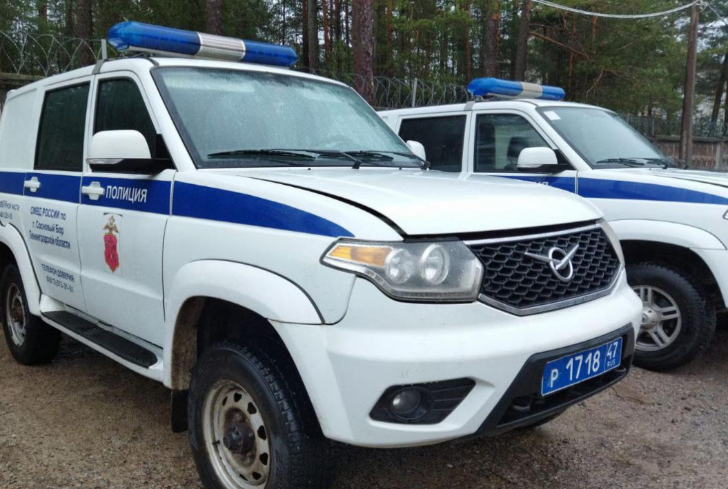 В Сосновом Бору мужчина с ножом стал фигурантом уголовного дела