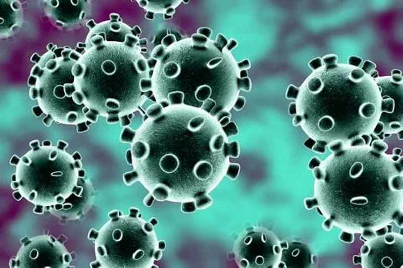 Заболеваемость коронавирусом в Ленобласти. Список районов на 30 ноября 