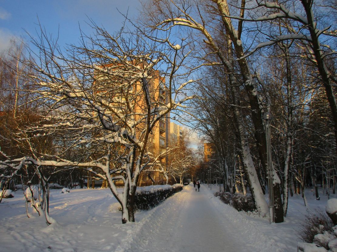 Фото Нины Князевой