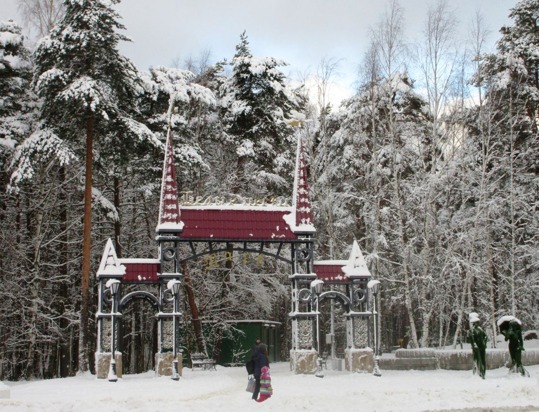 Фото Нины Князевой