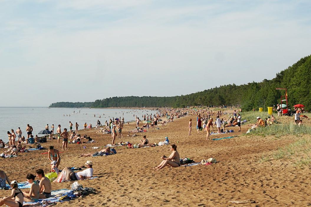 На пляжах Соснового Бора наблюдаются старые проблемы