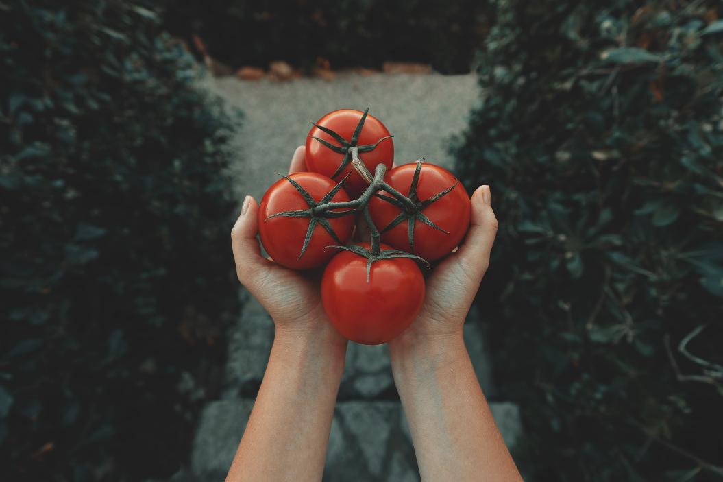 Фото: Unsplash