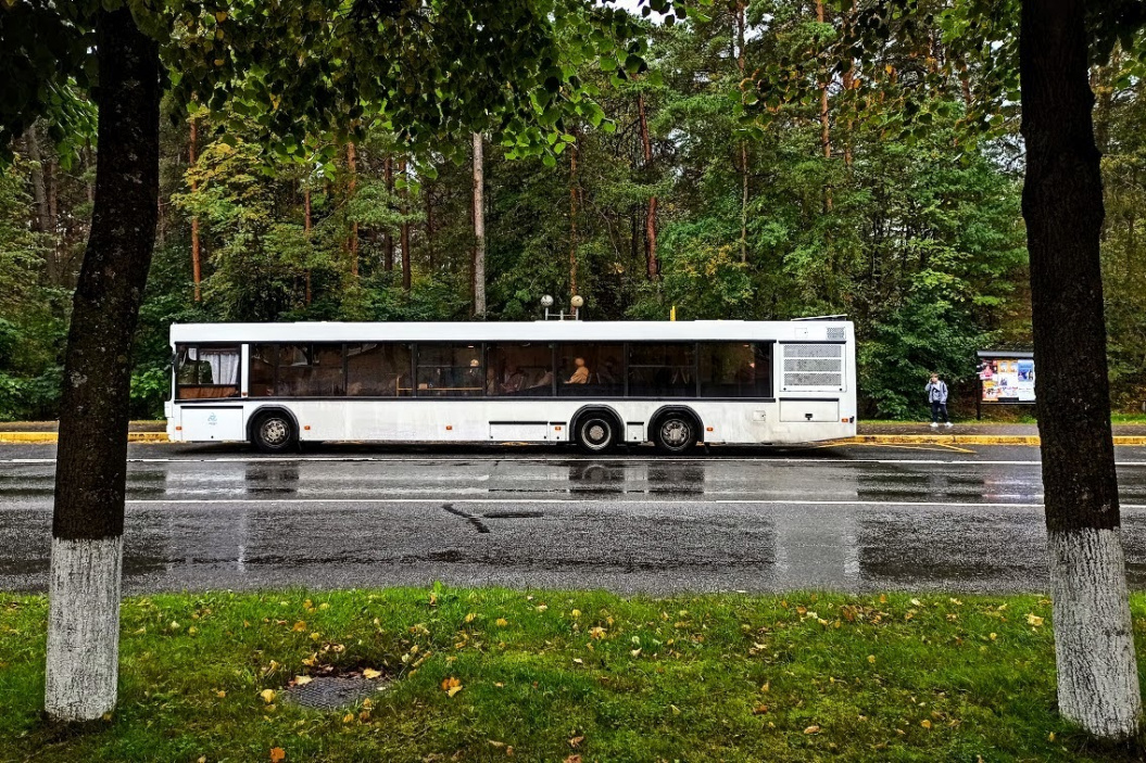 Какие региональные автобусные маршруты изменятся в Ленобласти и в Сосновом Бору