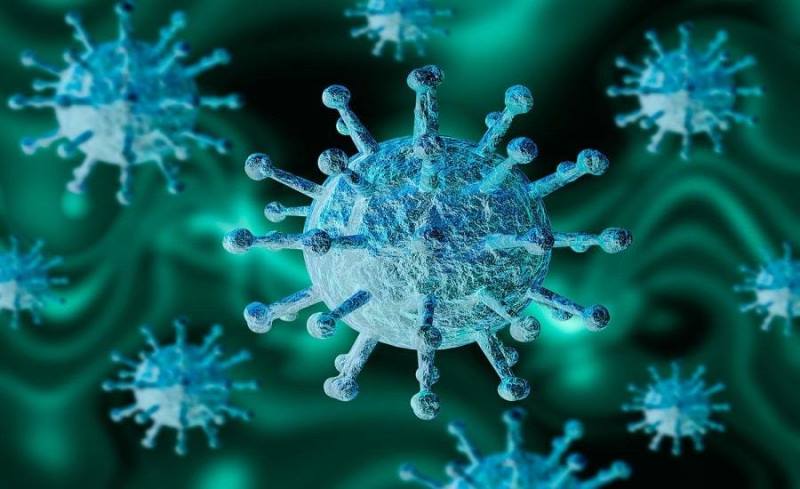 51 новый случай коронавируса выявили за сутки в  12  районах Ленобласти