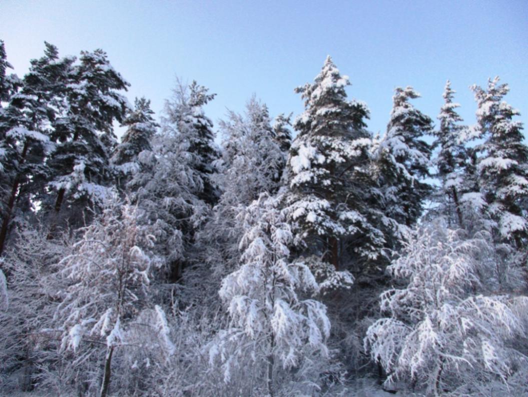 Какой будет погода в декабре-2022 в России, Санкт-Петербурге и Ленинградской области