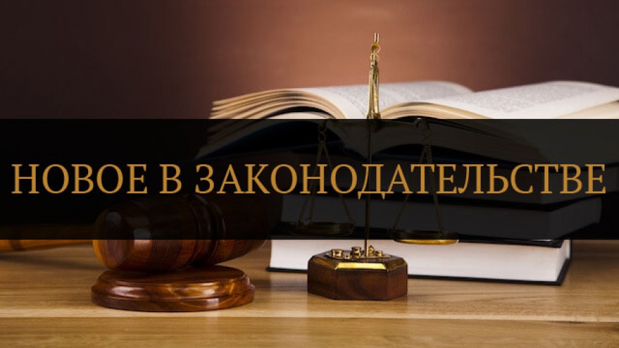 По каким законам жить? Что нового появилось в российском и областном законодательстве в 2019 году