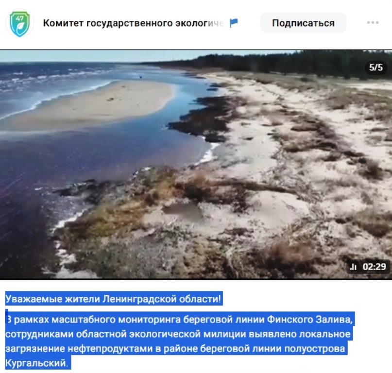 Фото: сриншот из видео Эконадзора