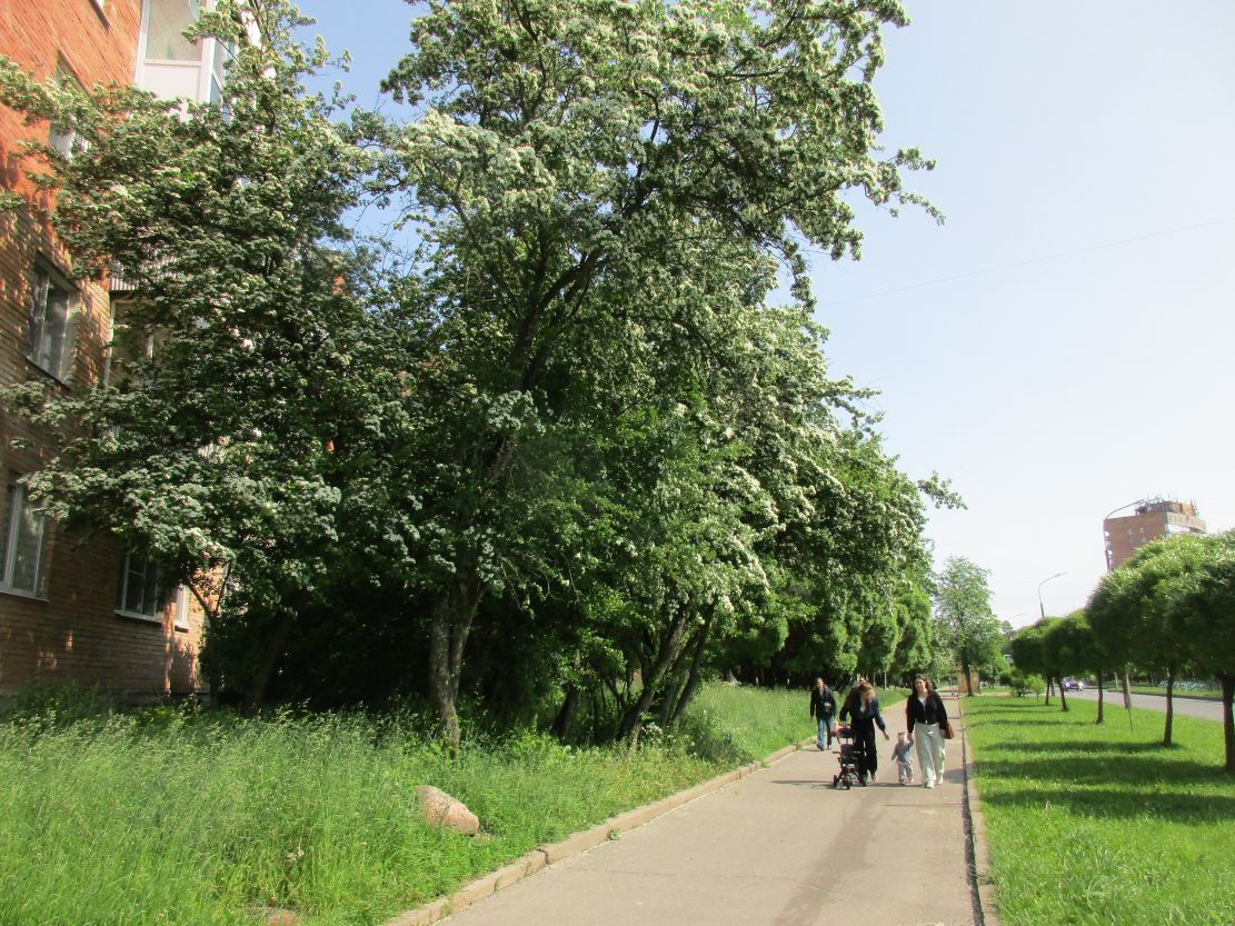 Фото Нины Князевой