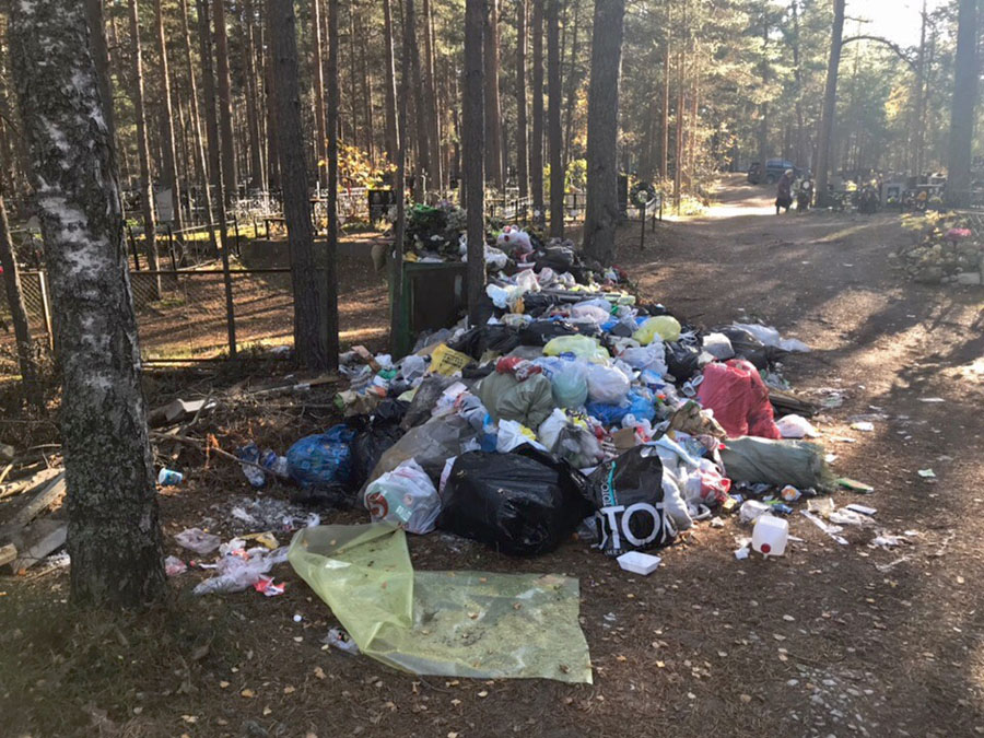 «Могилы — не помойка». Кладбище в Систо-Палкино  очистили от гор мусора после обращения горожанки