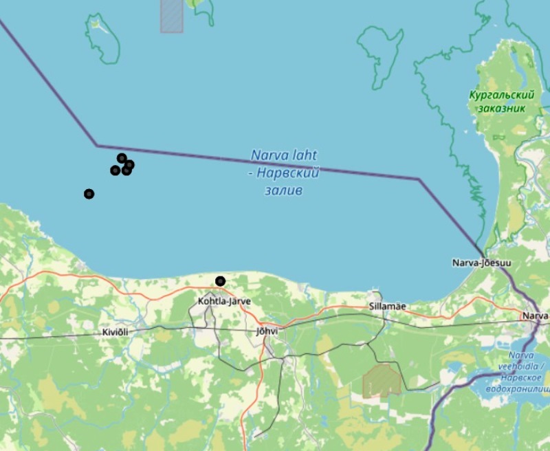В Нарвском заливе зарегистрировали 5 подземных толчков  