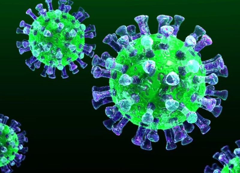 56 новых случаев коронавируса выявили за сутки в  13  районах Ленобласти