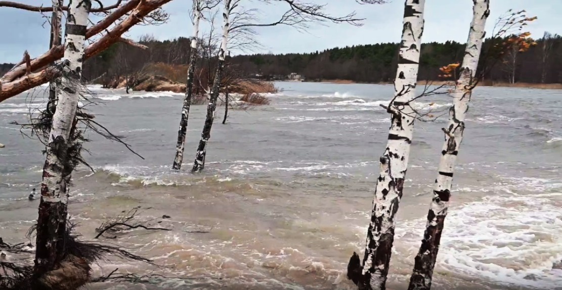 Шторм в Финском заливе изменил русло реки в Сосновом Бору