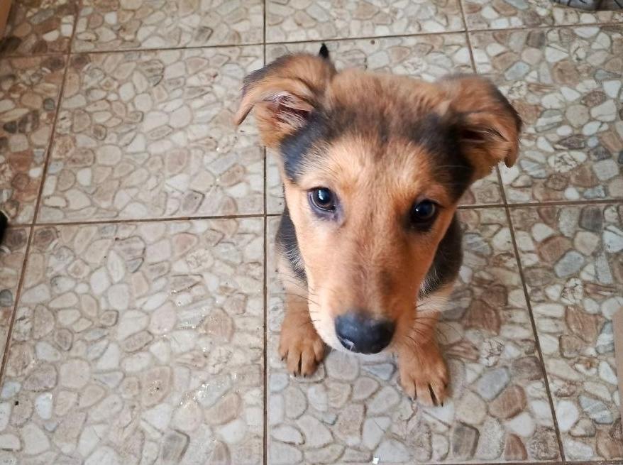 Дружелюбная девочка ищет тепло и заботу