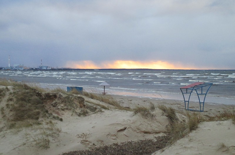 В Сосновом Бору разрушаются дюны на берегу Финского залива