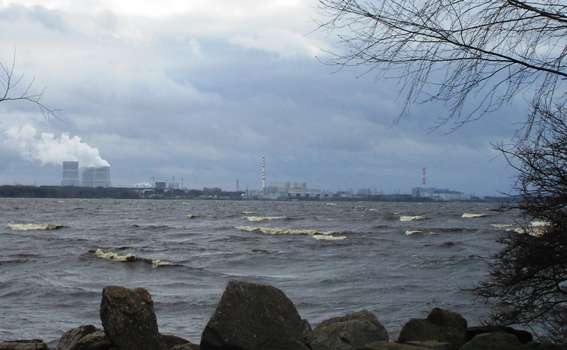 ЛАЭС стала выкачивать из Финского залива меньше воды для охлаждения,  чем раньше