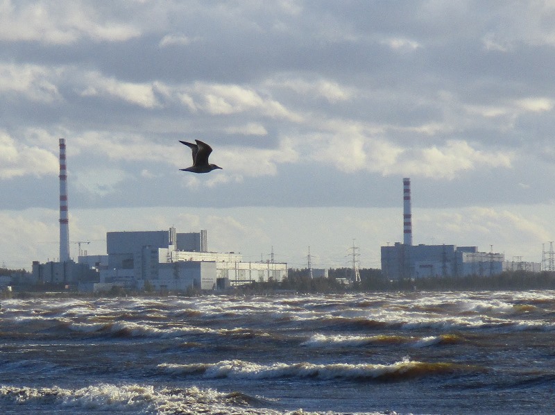 Объявлен конкурс на 1,95 миллиарда рублей на работы по комплексу переработки РАО Ленинградской АЭС