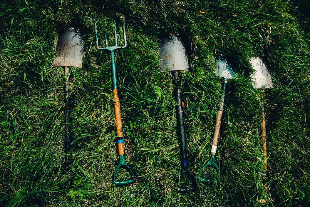 Фото: Unsplash