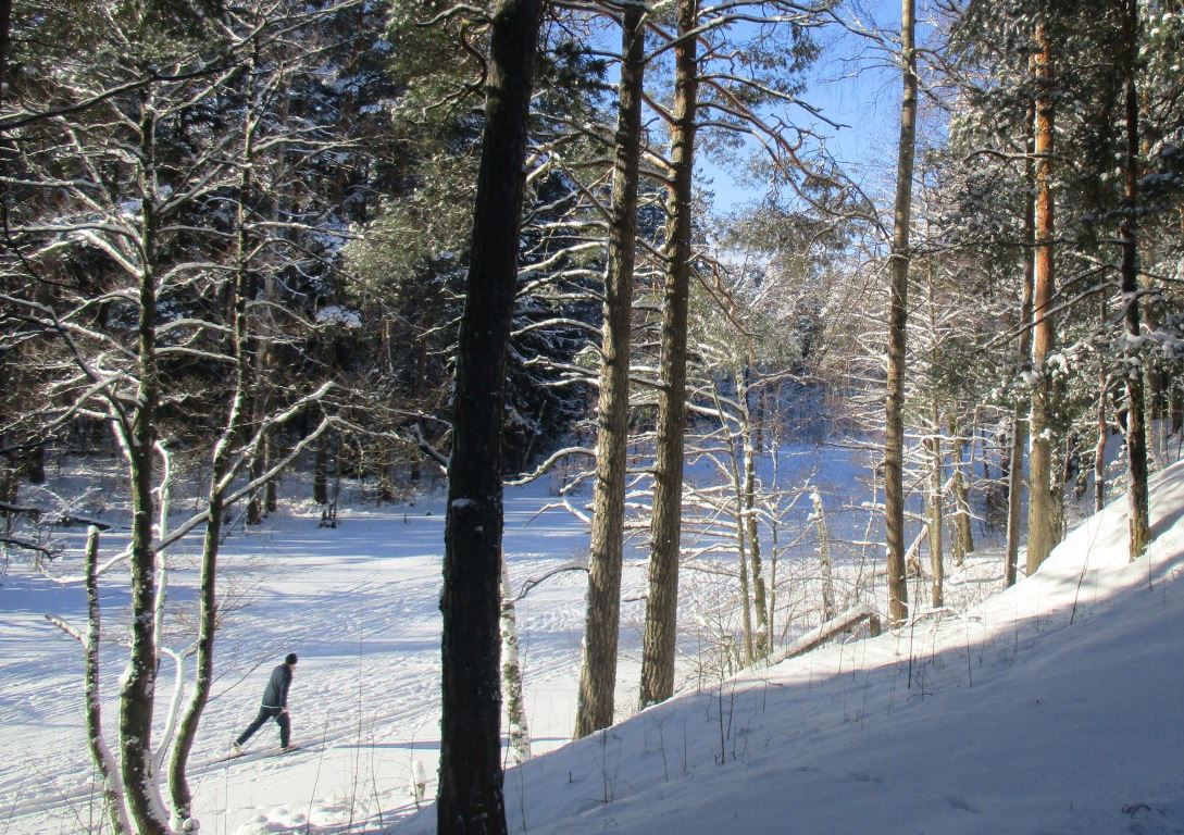 Фото Нины Князевой